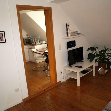 Ferienwohnung Klatschmohn Speyer Exterior foto